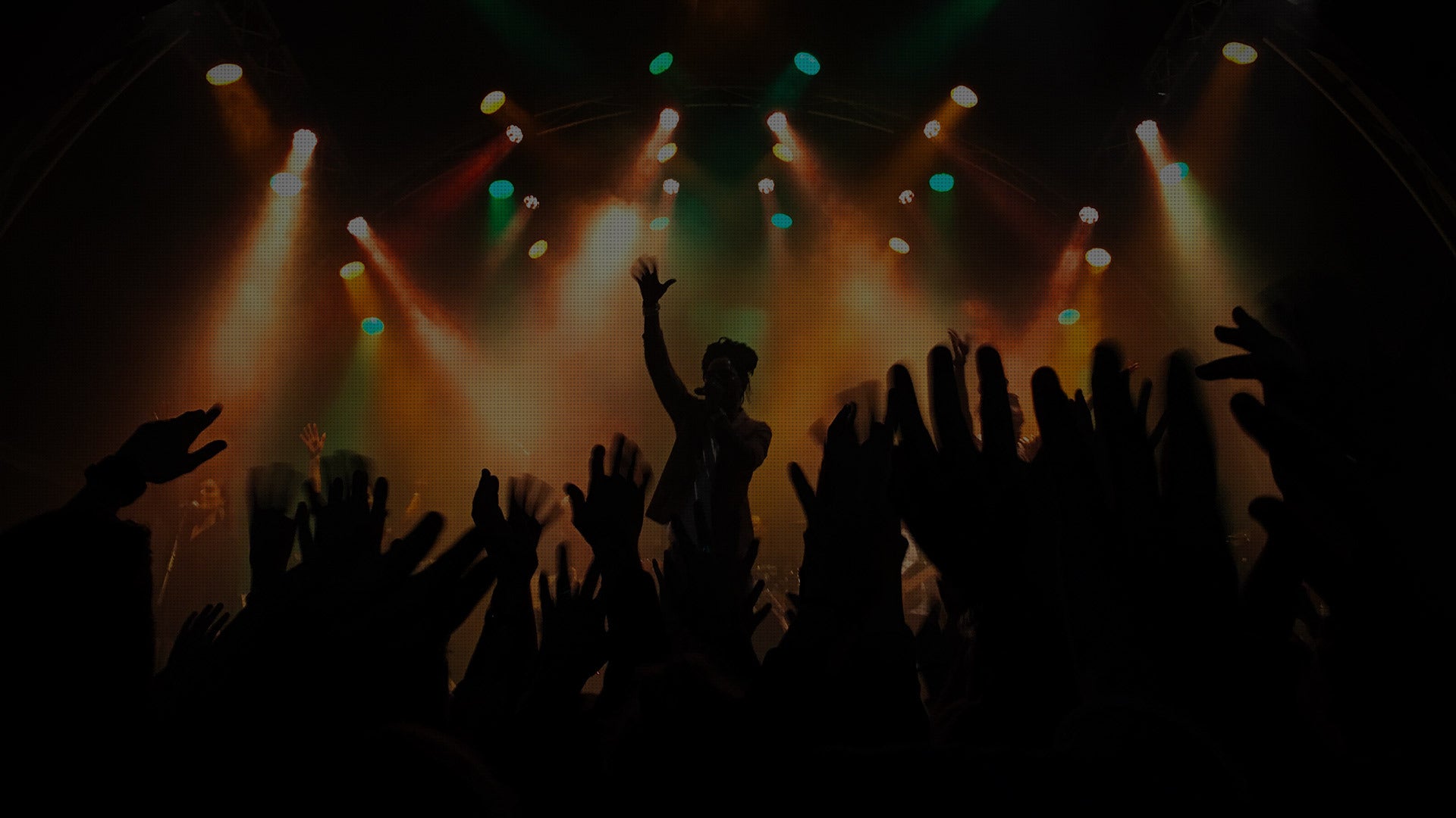 The Echo Lounge & Music Hall photo