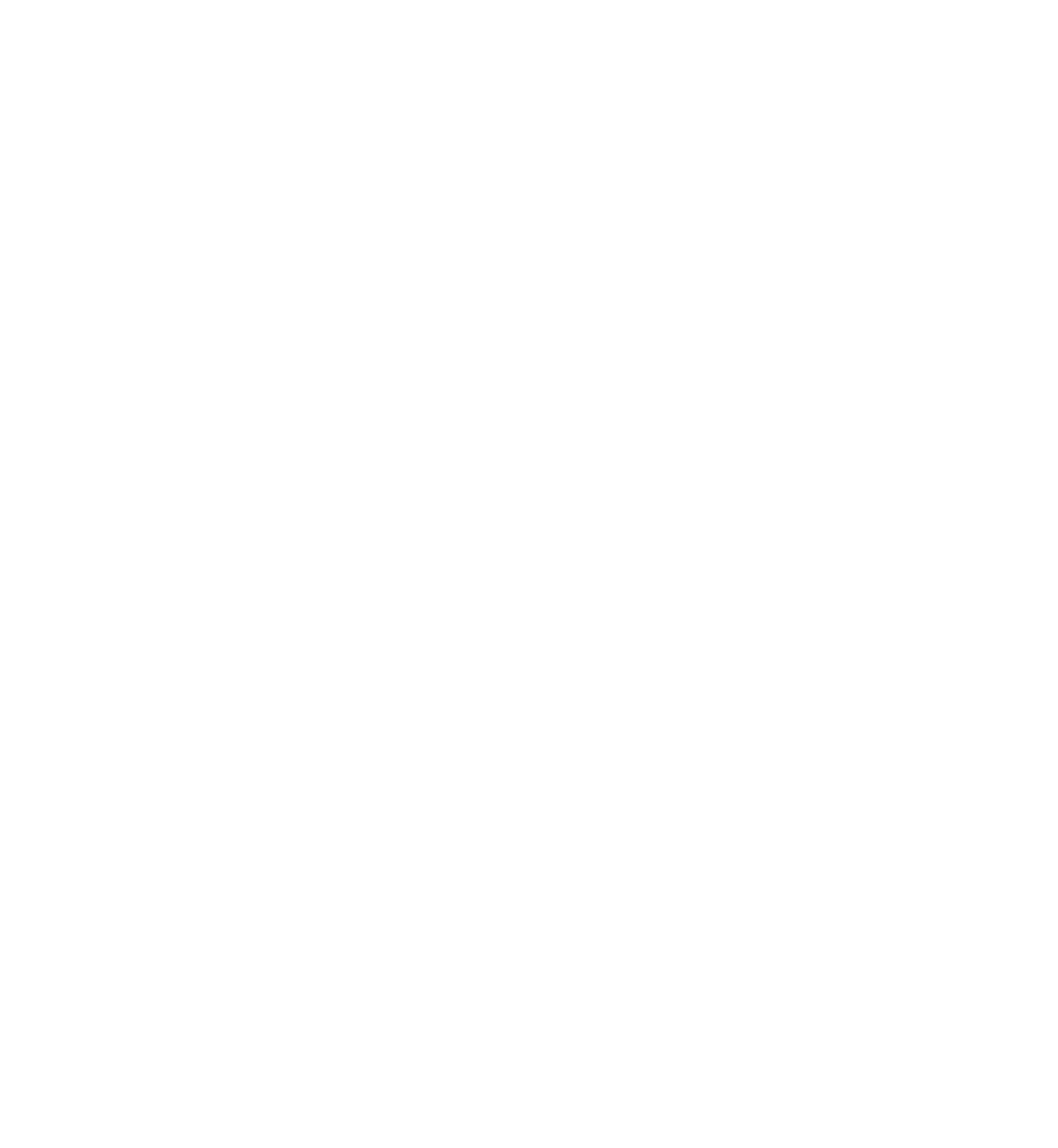 The Echo