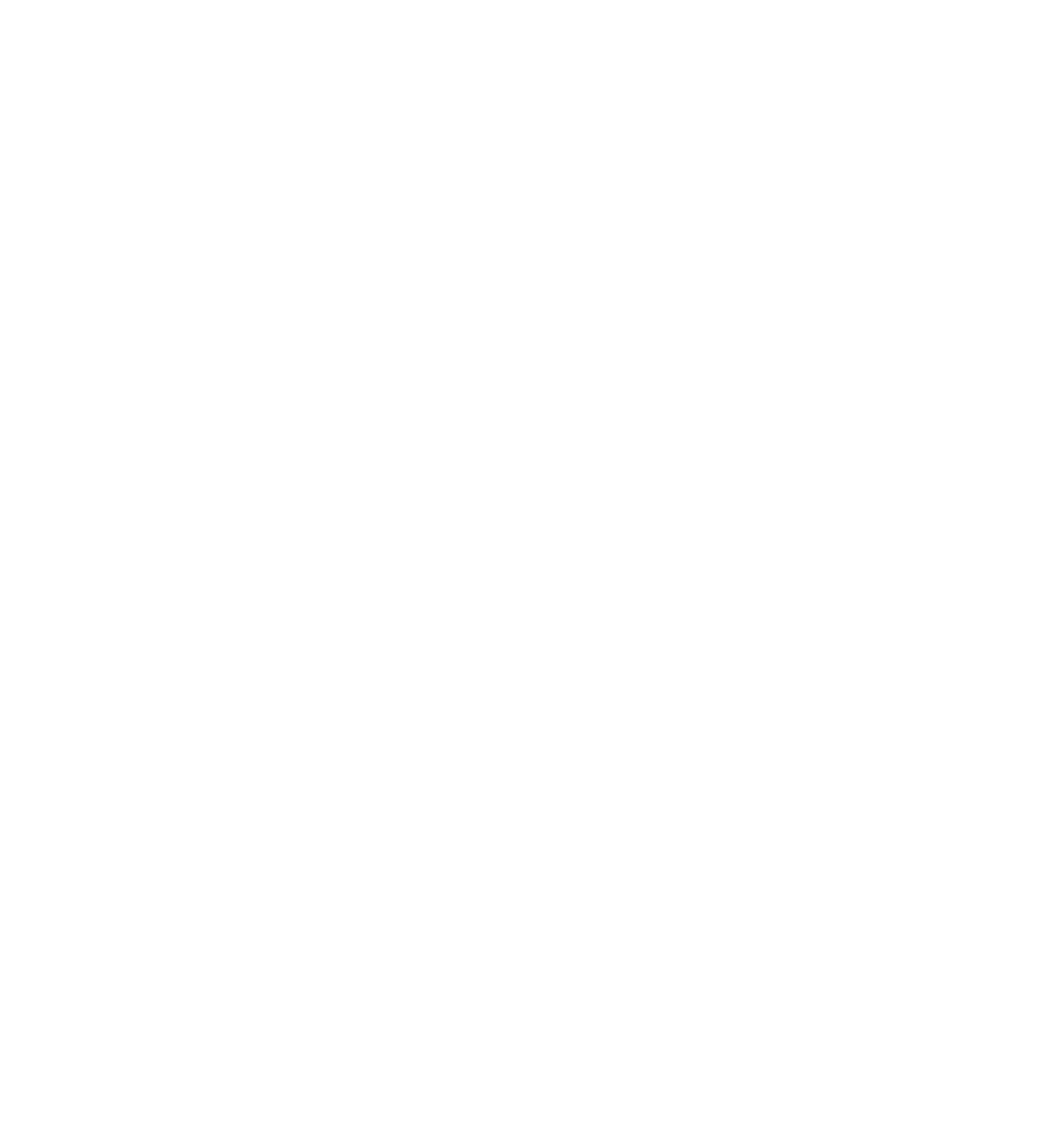 The Echo
