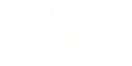 Ameris Bank Logo