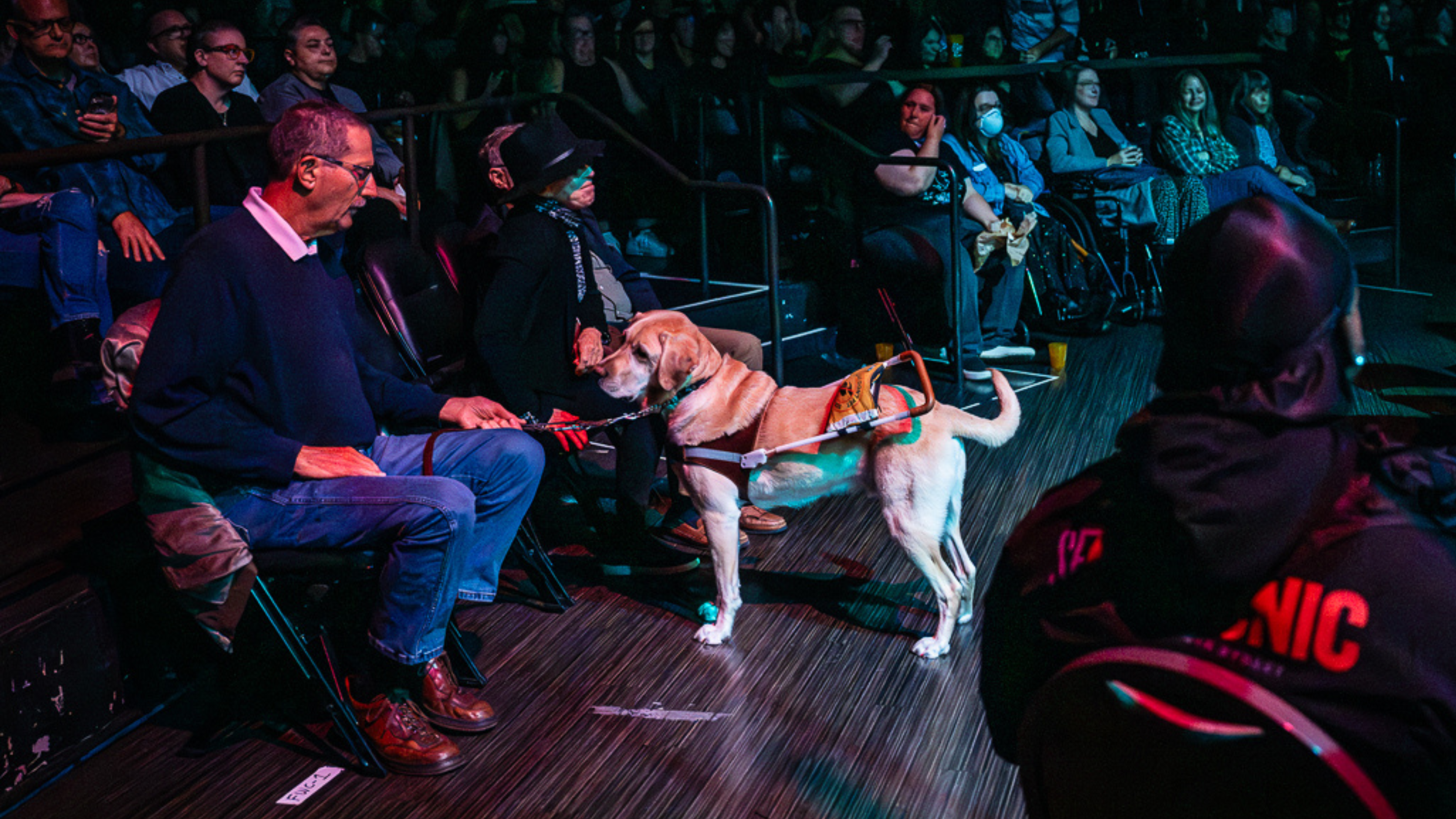 A man holding the leash of a service dog is seated in the crowd.