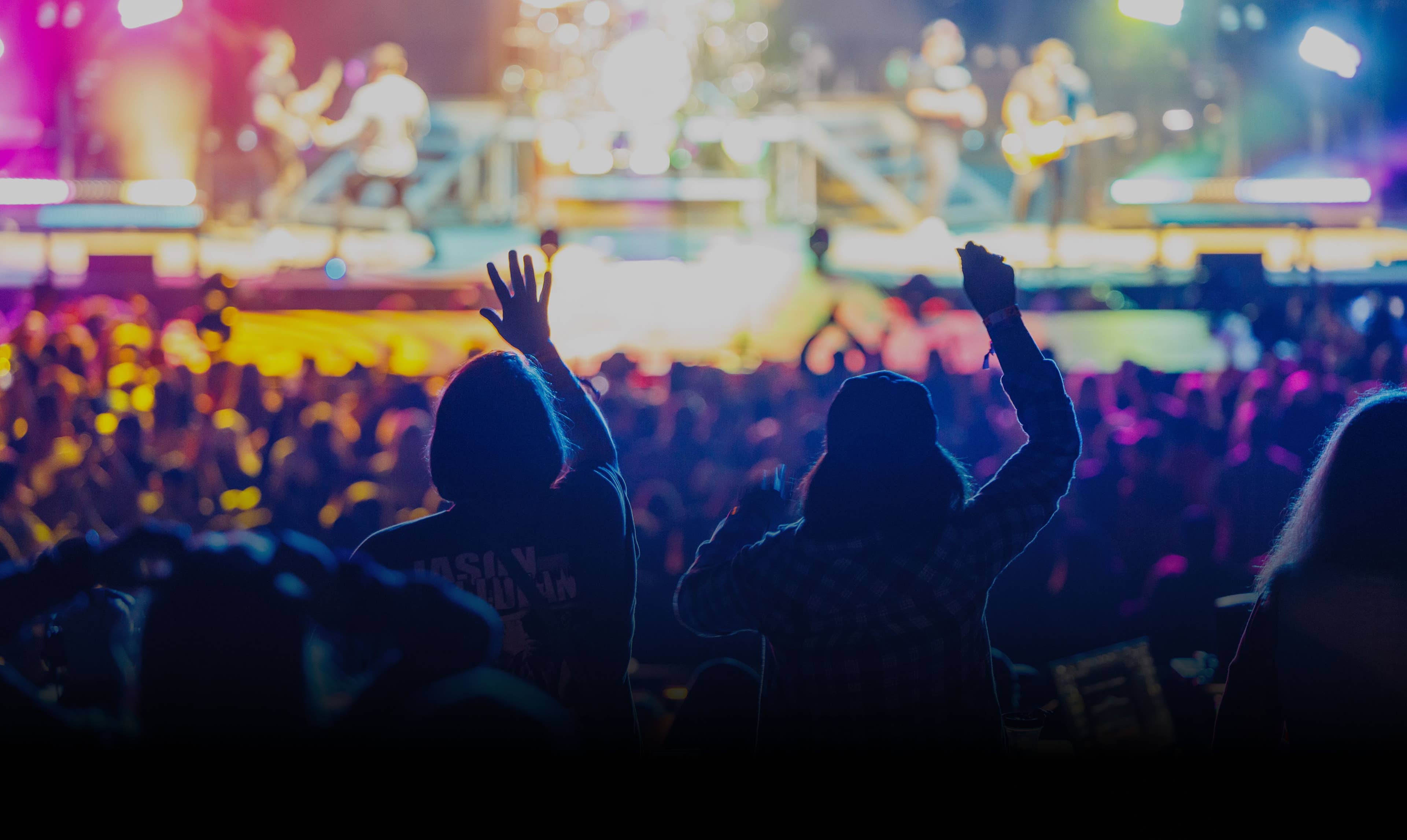 the back of two fans with their hands up at a show