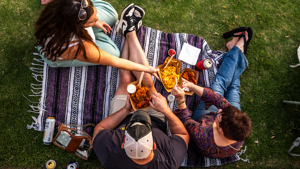 A group of fans sit on a blanket on the lawn at a concert.