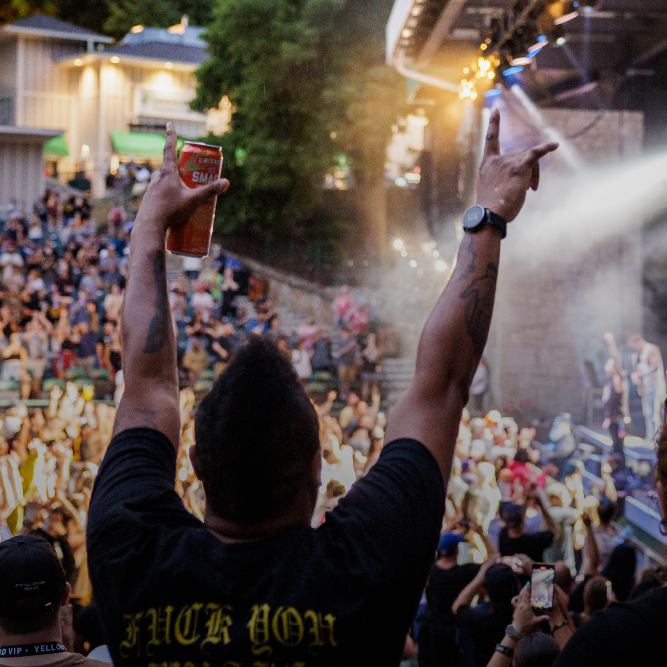 A man with his hands in the air at a concert.