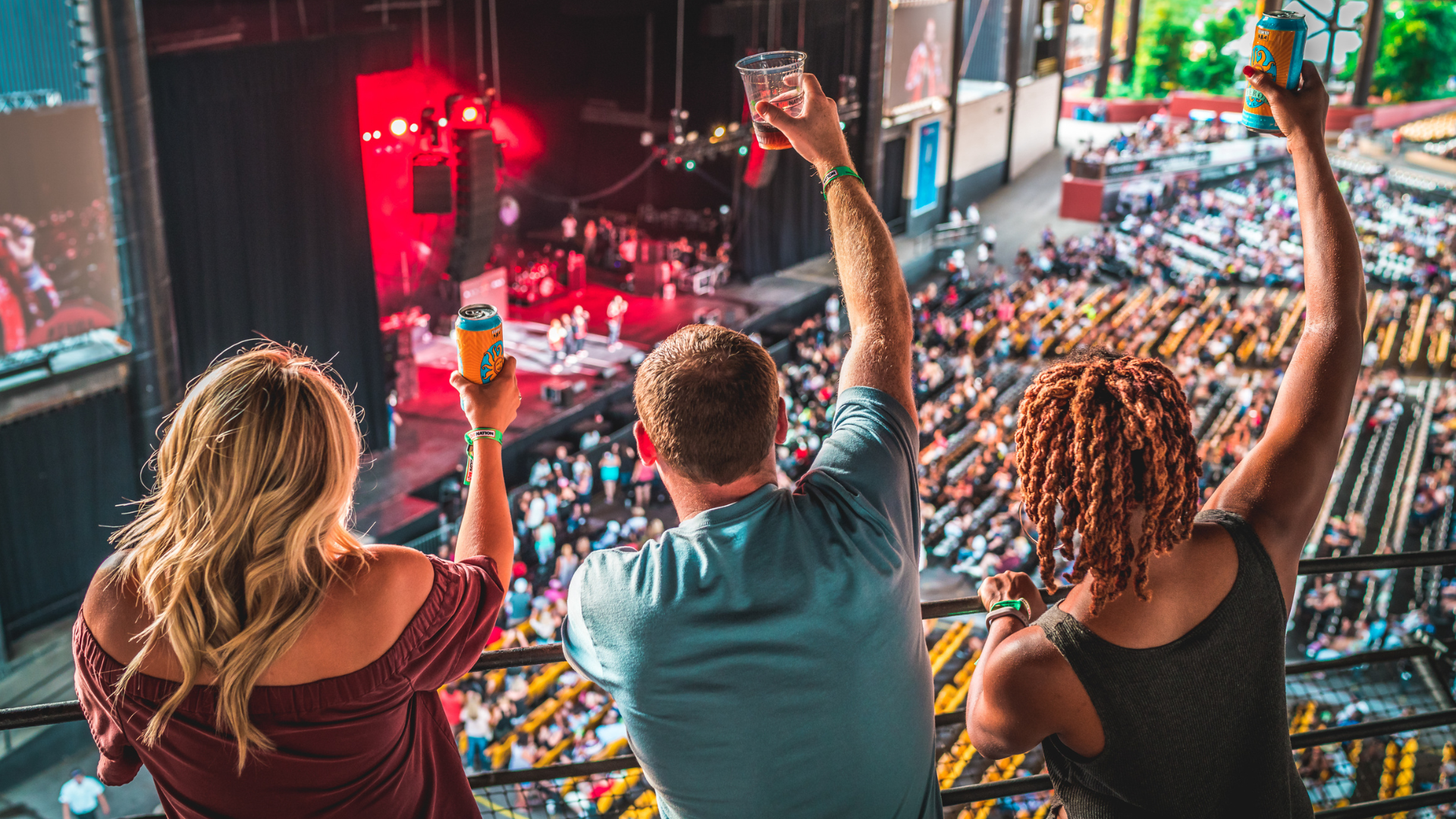 VIP Concert Concierge Service at Credit Union 1 Amphitheatre