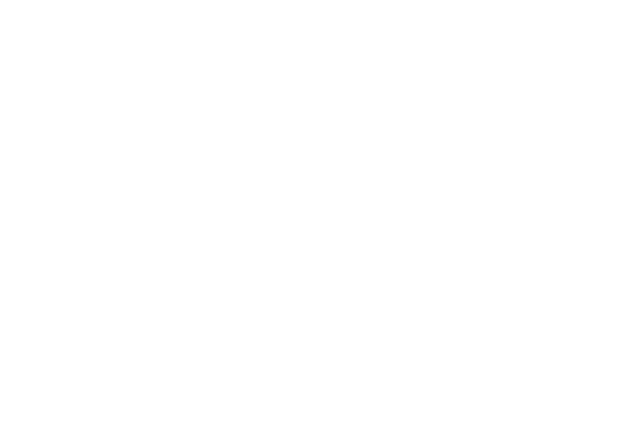 The Echo