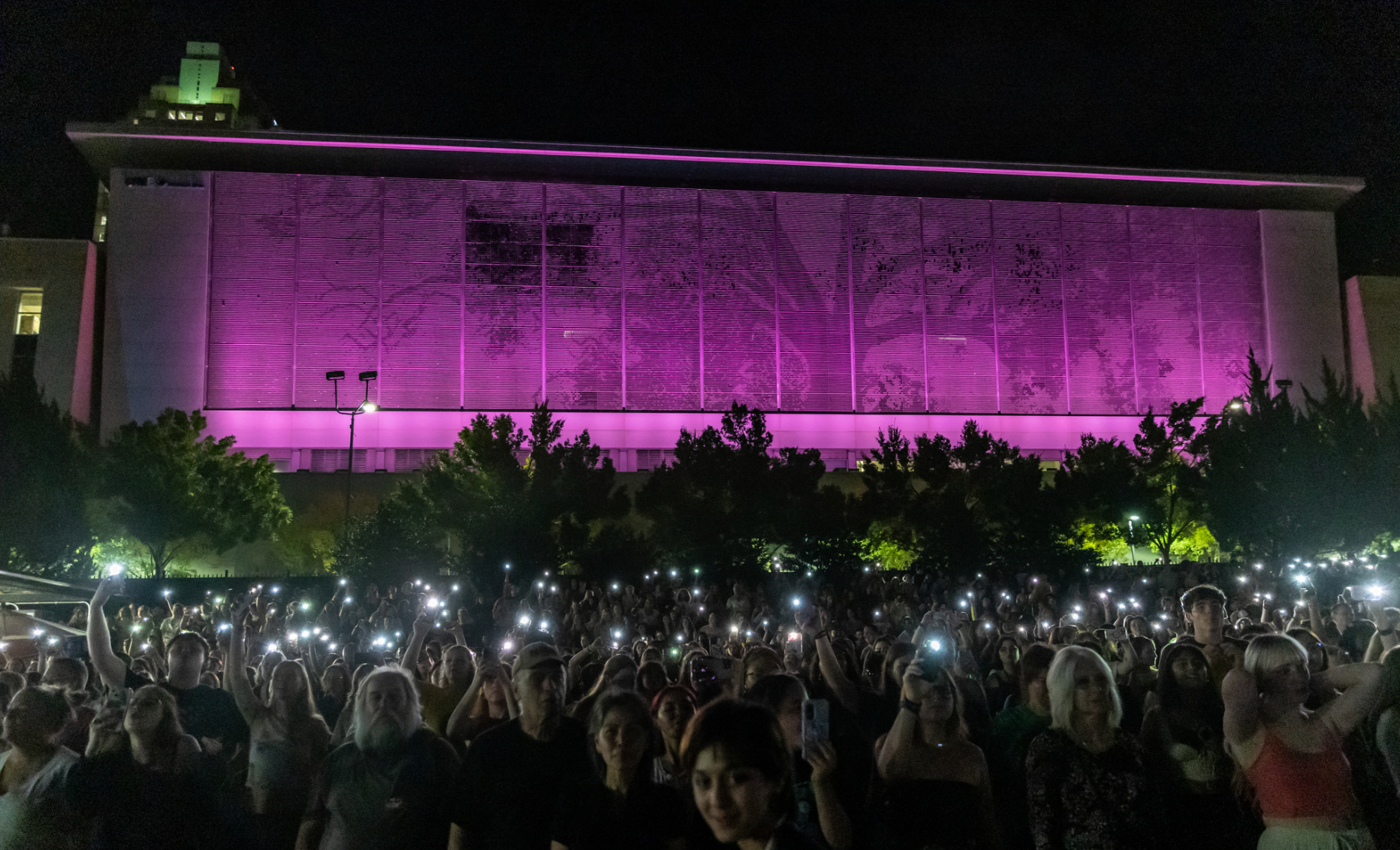 A wall with a mural of a tree and pink lights. Concert fans holding up their phone flashlights.