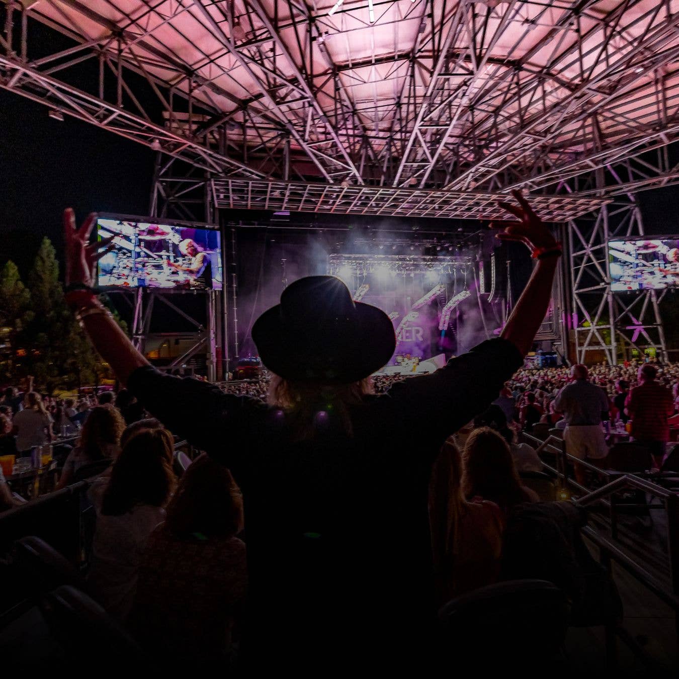 A silhouette photo of a fan with his hands up watching a show