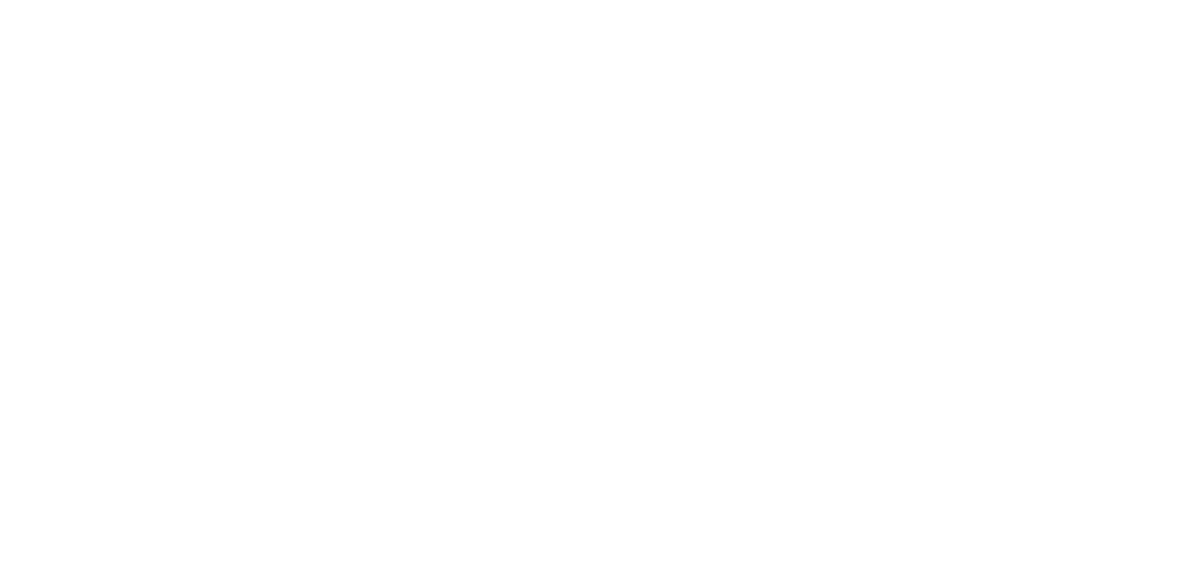 Scoot Inn