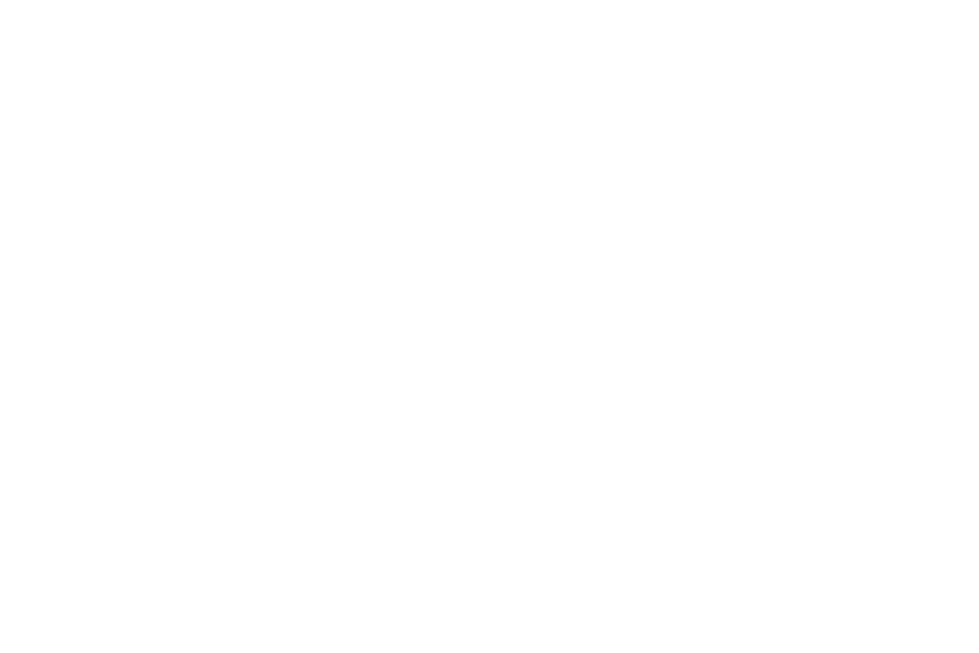Toyota Logo