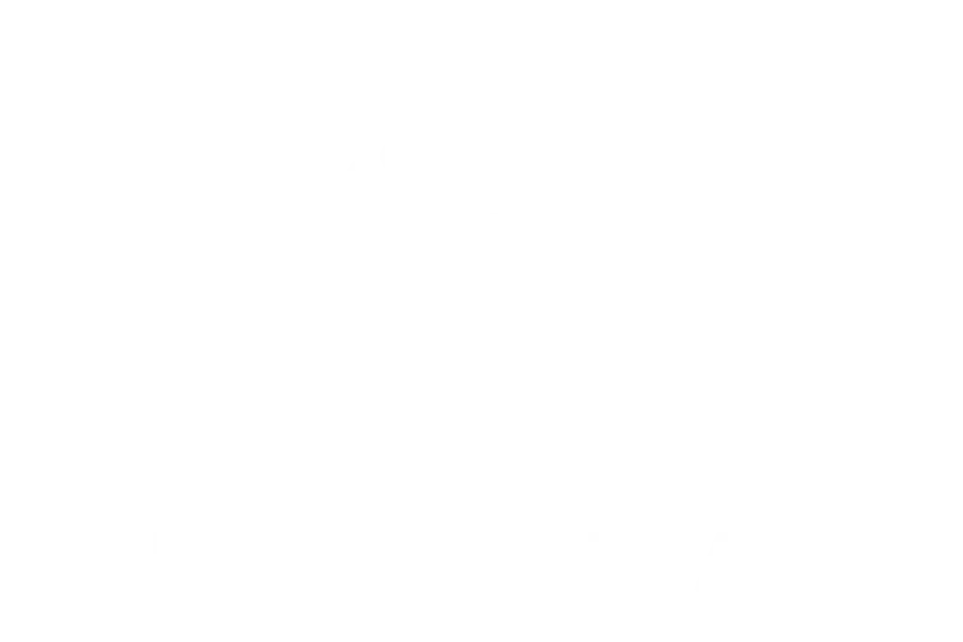 Toyota Logo