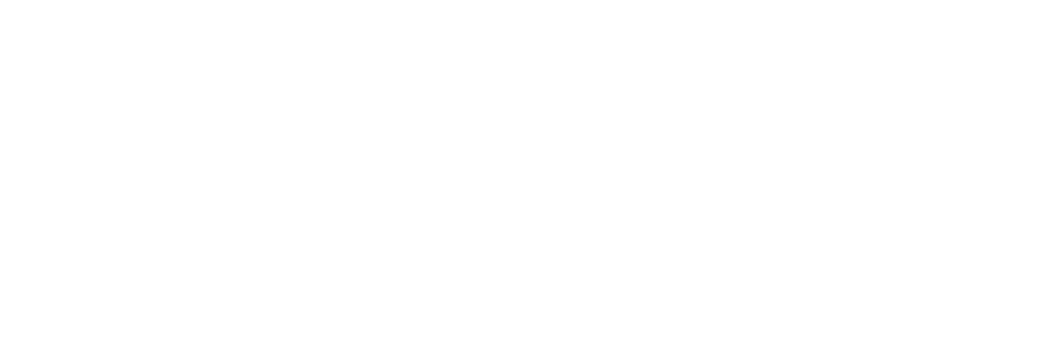 Toyota Amphitheatre