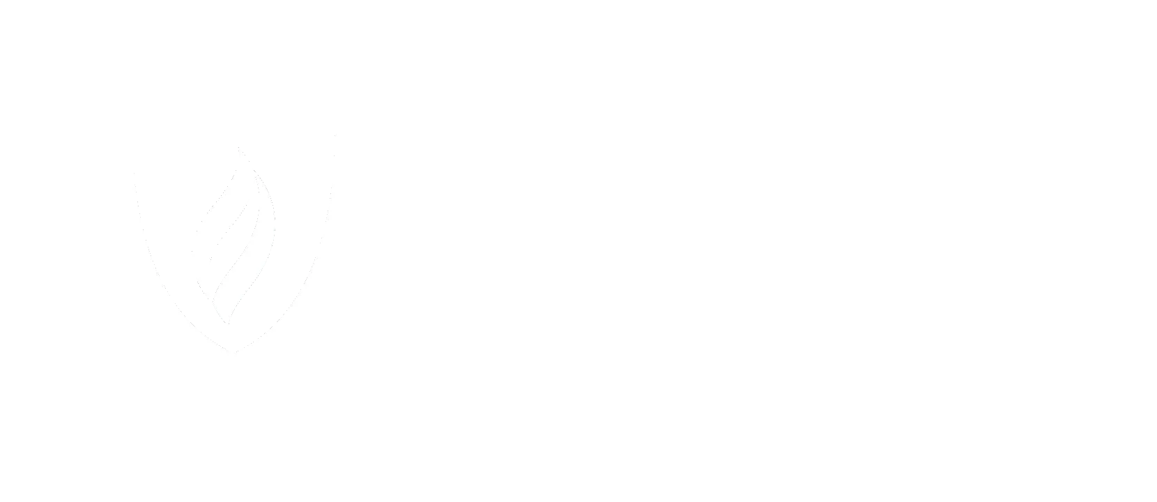 Southern New Hampshire University Logo