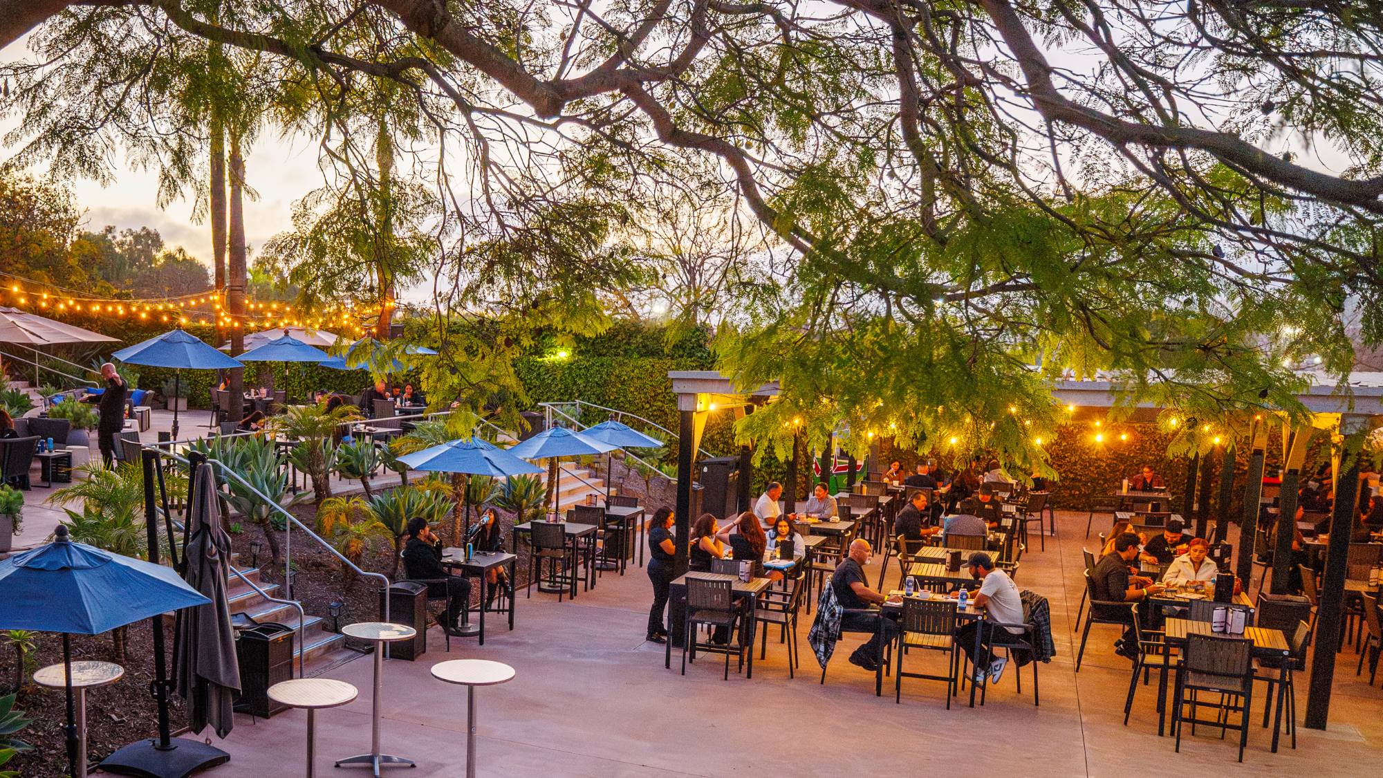 Close-up view of the VIP Club under a tree. People are sitting at tables conversing and eating.