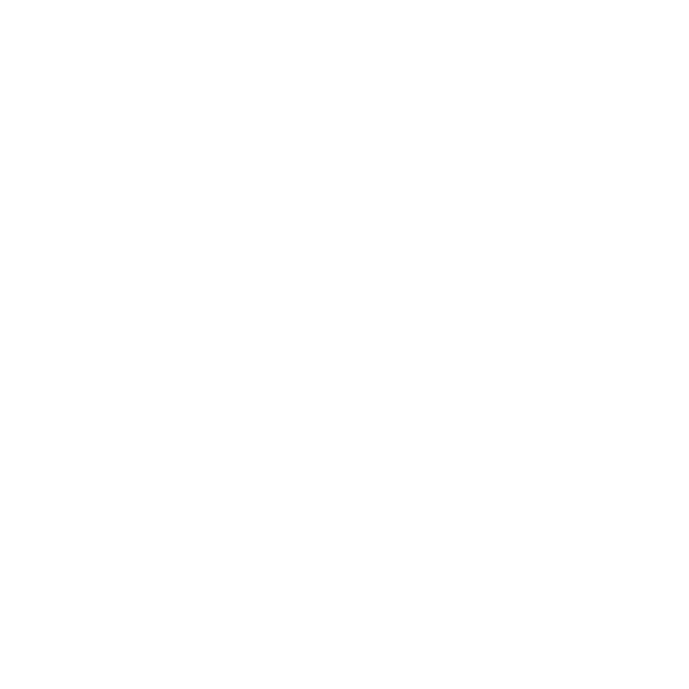 Toyota Amphitheatre