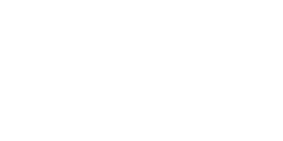 Binnie Media Logo