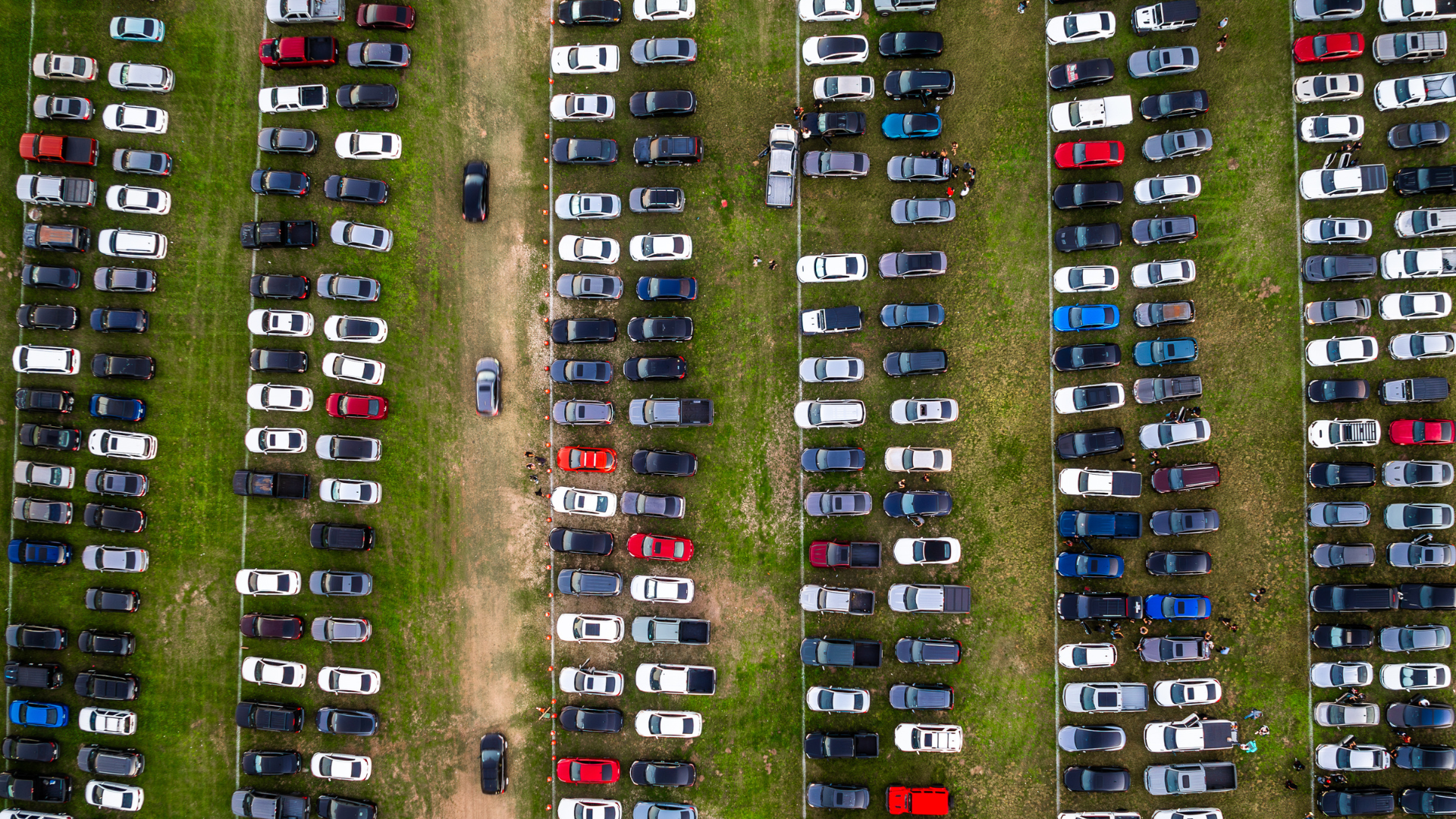 a picture of cars