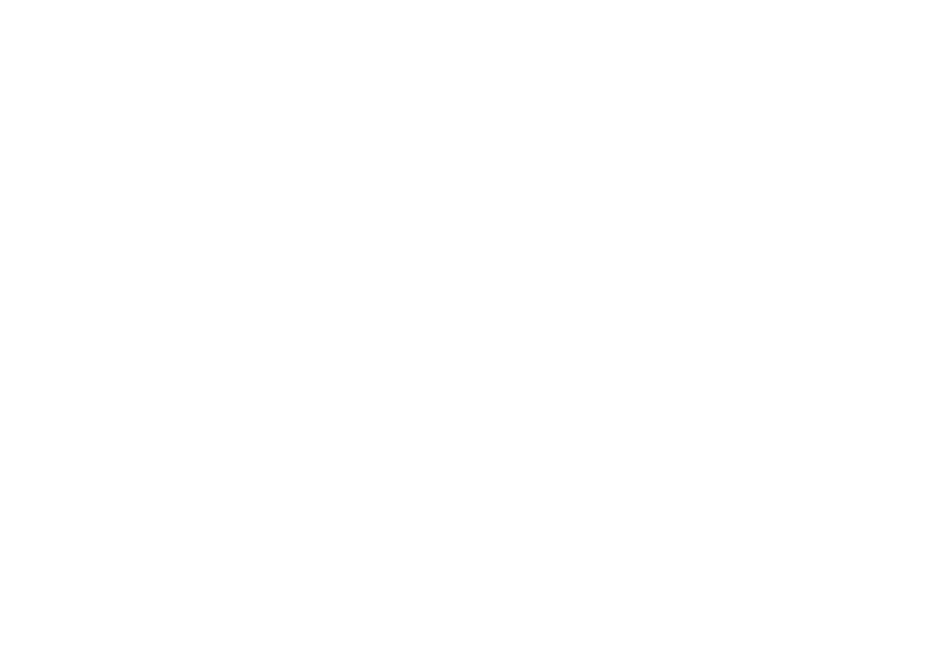 Carnegie Museum of Art Logo
