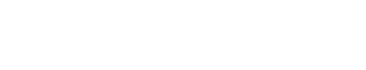 Brooklyn Paramount Logo