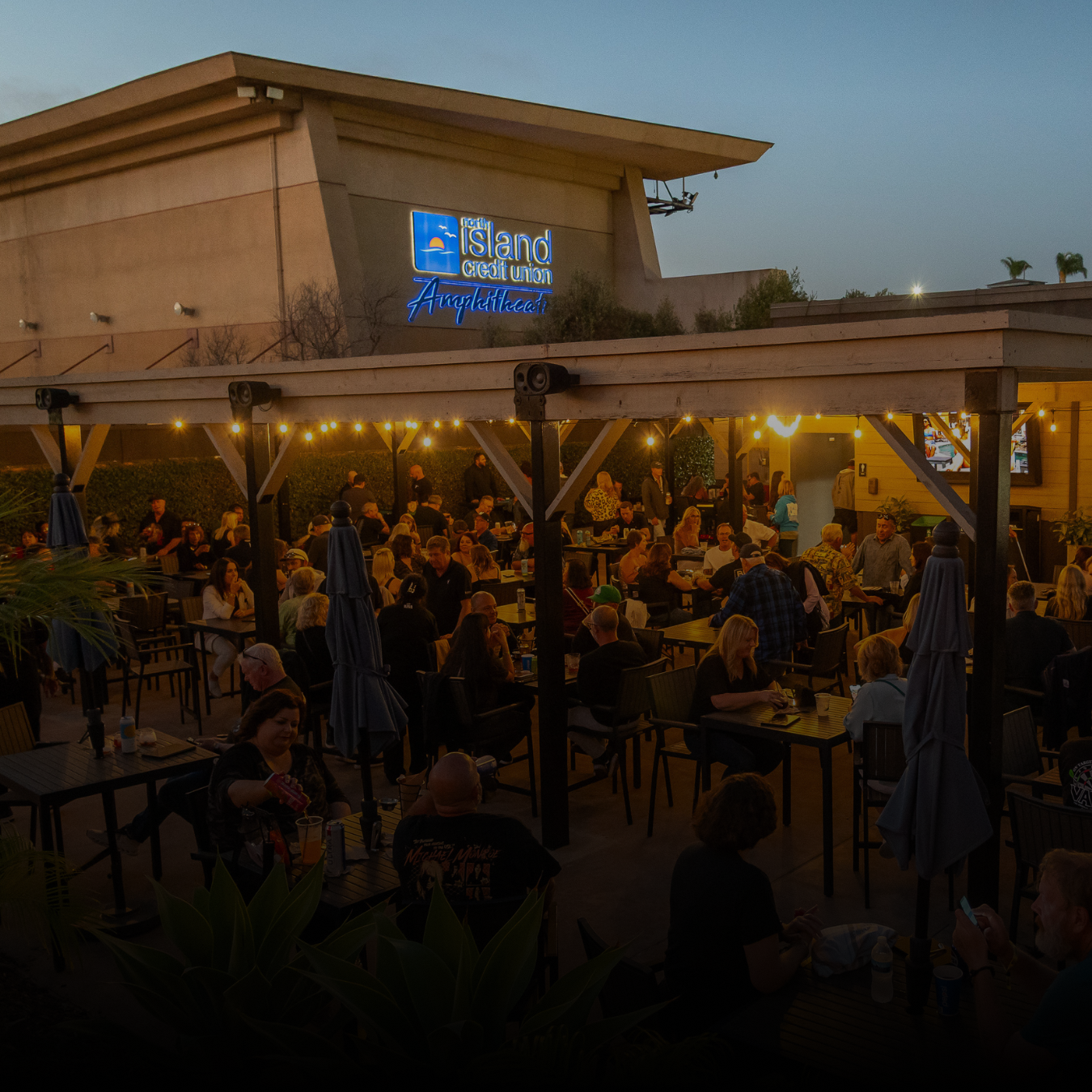 VIP Club Area, Filled with Attendees and Hanging Lights