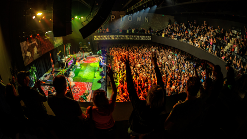 People in our premium box seats with their hands up and dancing during a show