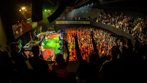 People in our premium box seats with their hands up and dancing during a show