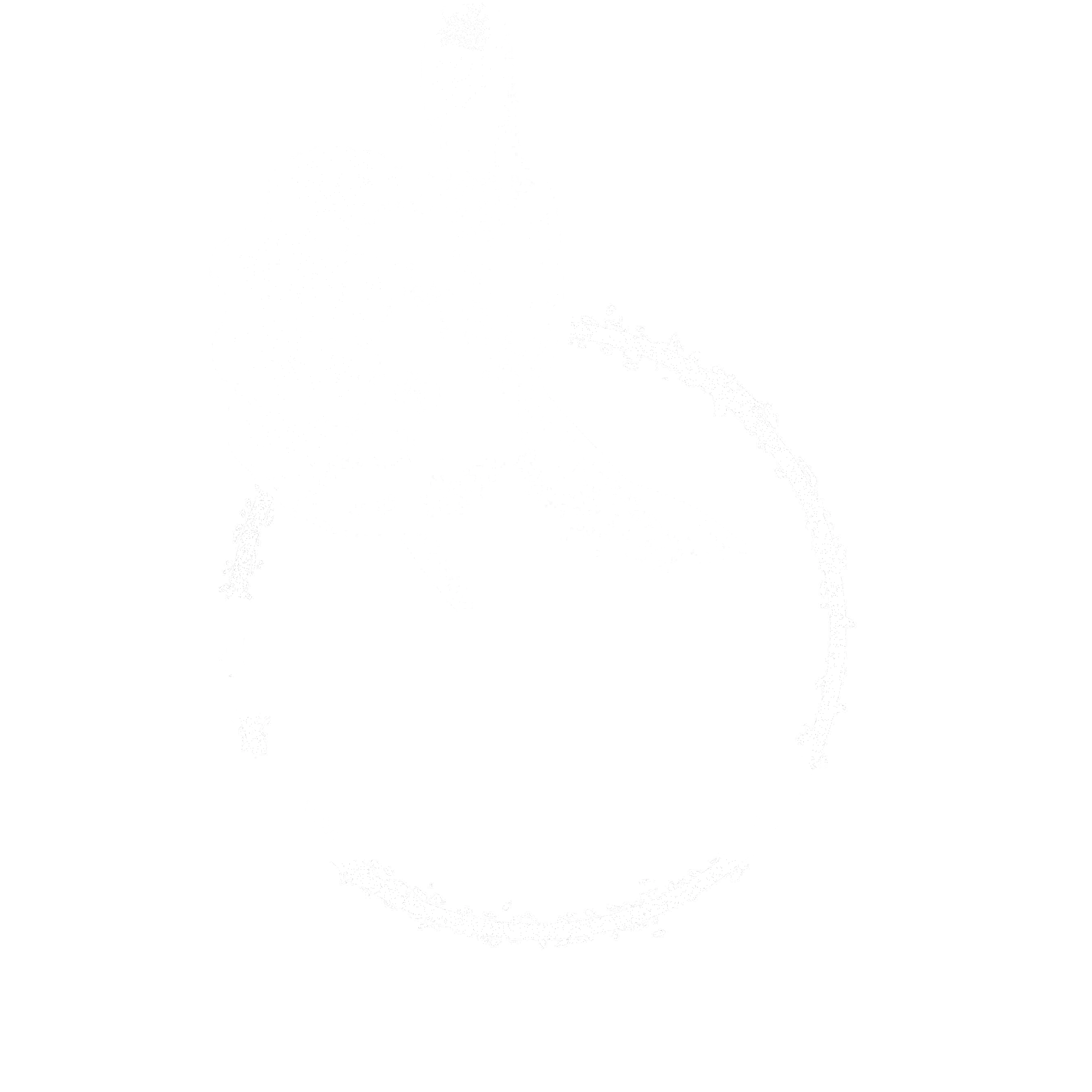 Planet Fitness white Logo