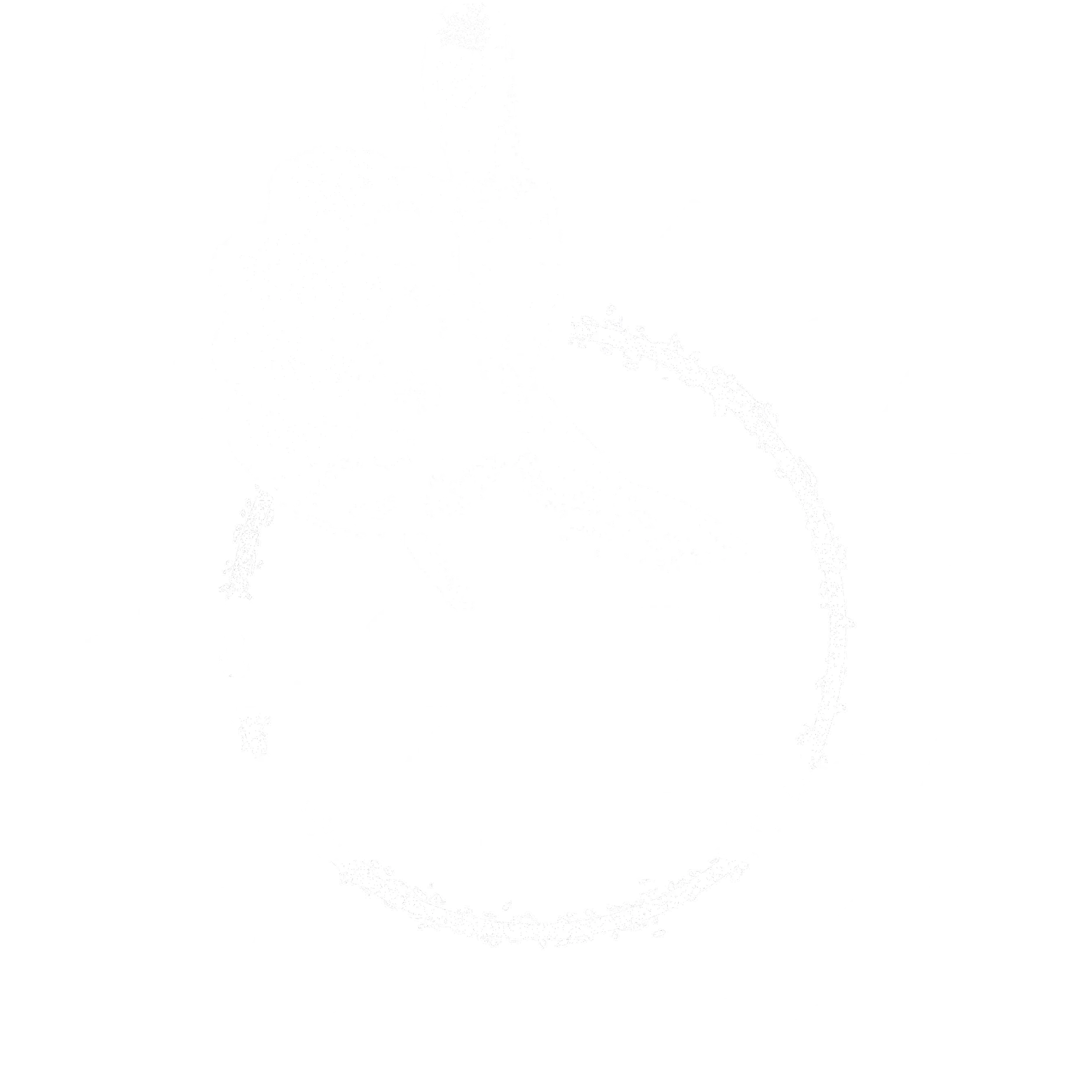 Planet Fitness white Logo