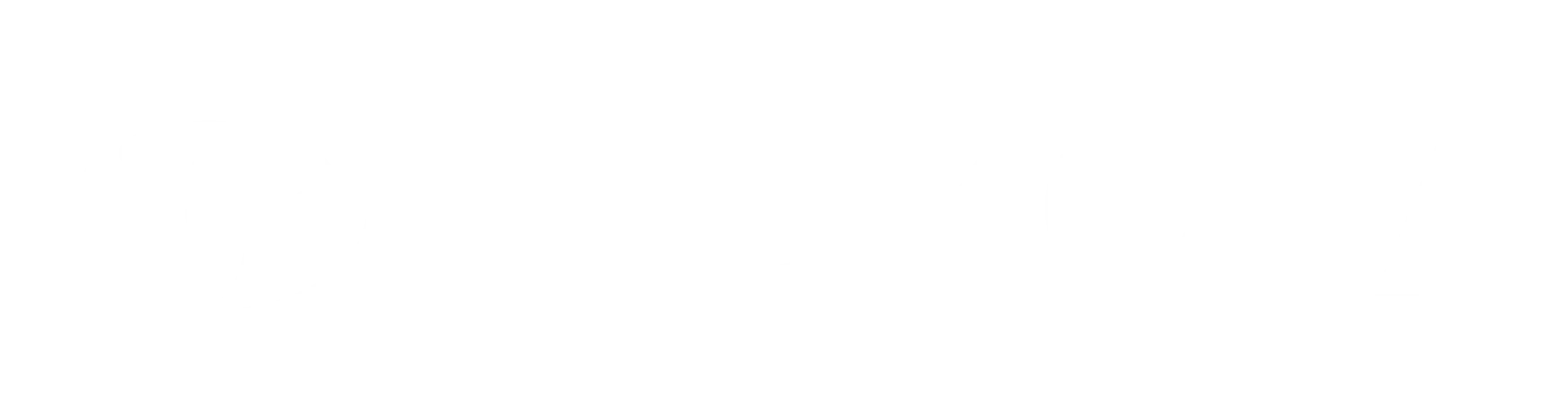 Toyota Logo