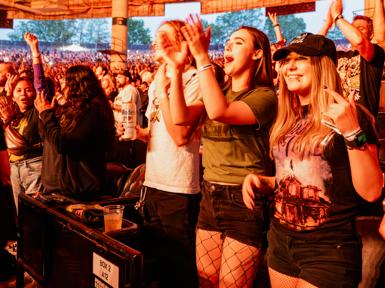 Fans standing in the crowd in a box seat section