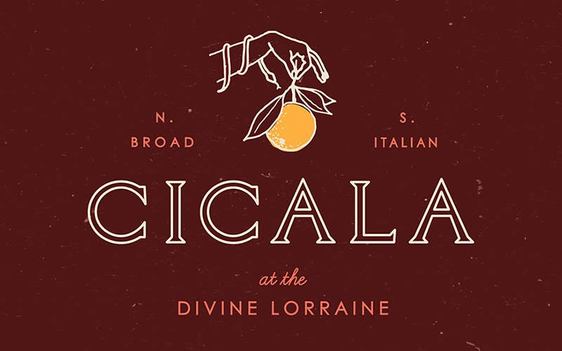 Cicala logo