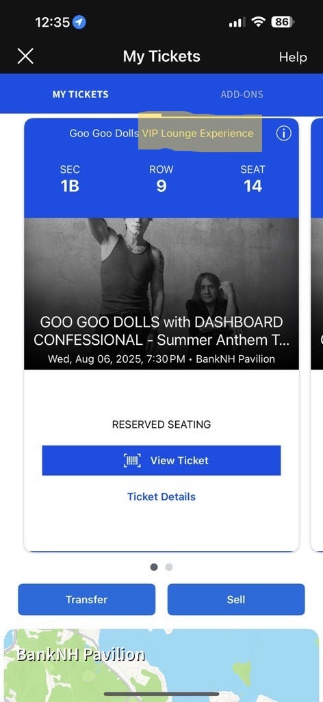 Artist VIP Ticket