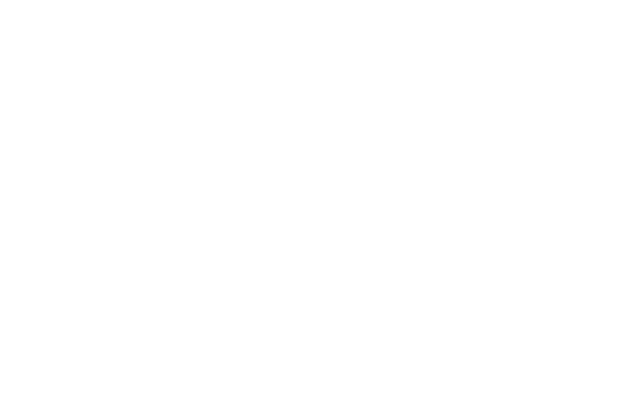 Coney Island Amphitheater