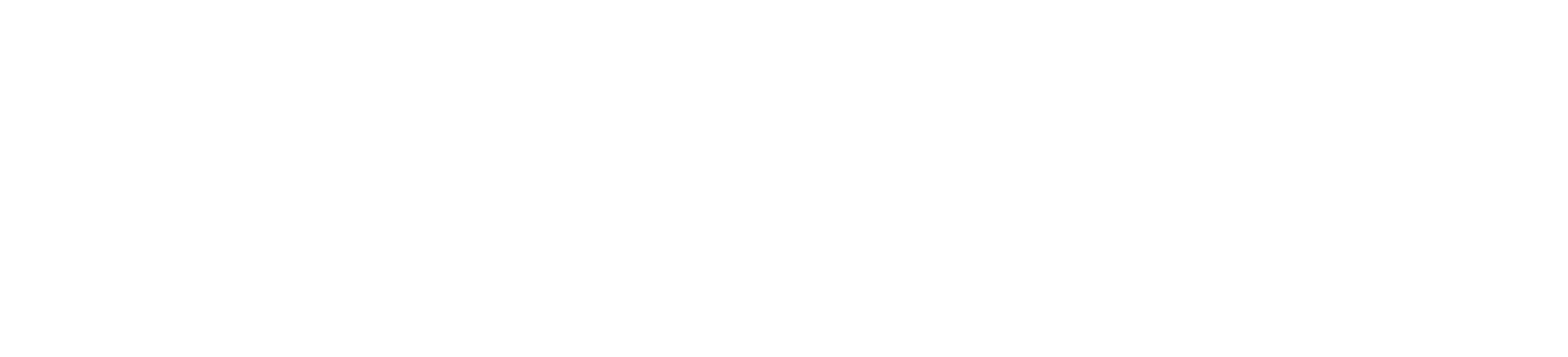 Brooklyn Paramount Logo