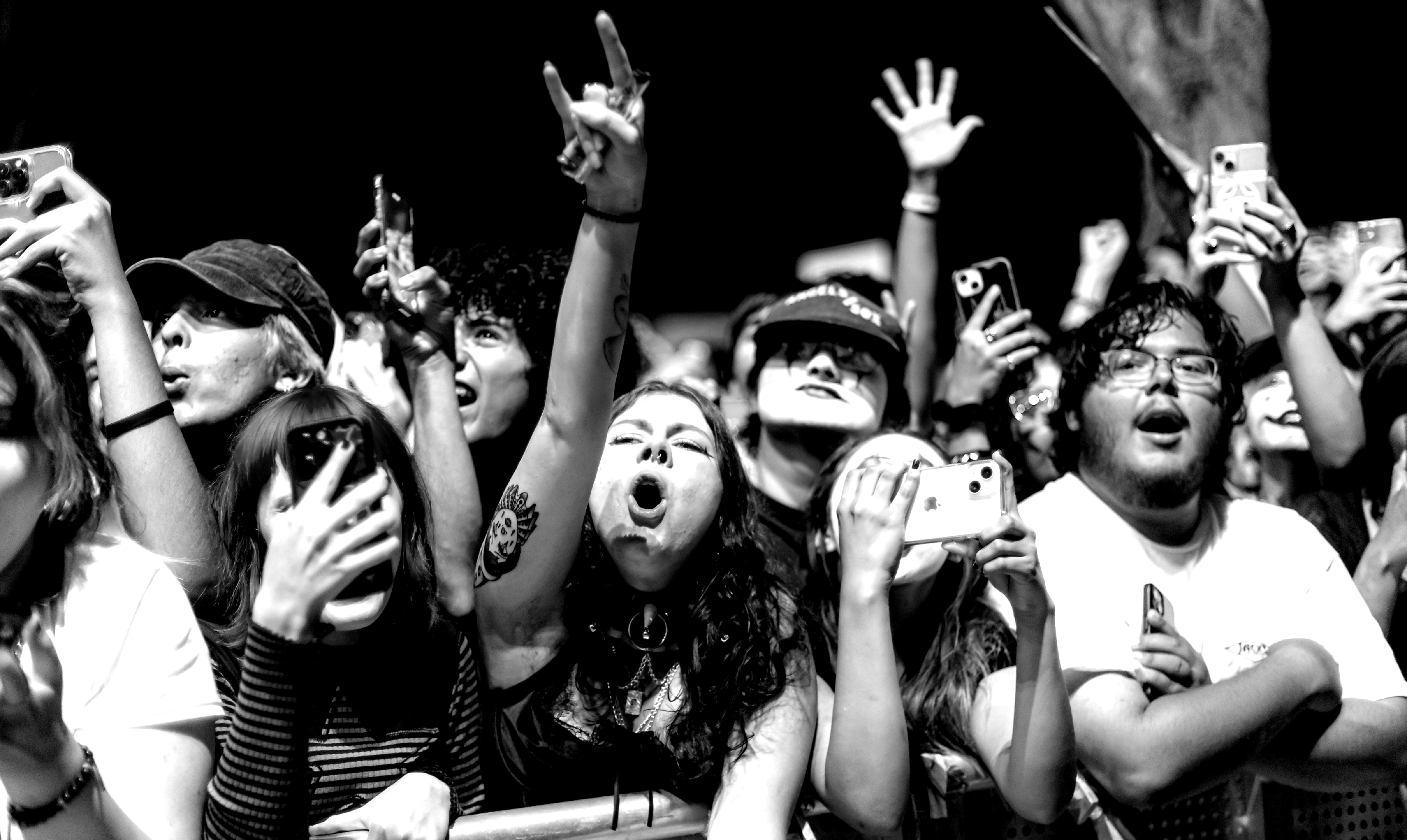 A crowd of people at the Observatory Festival Grounds