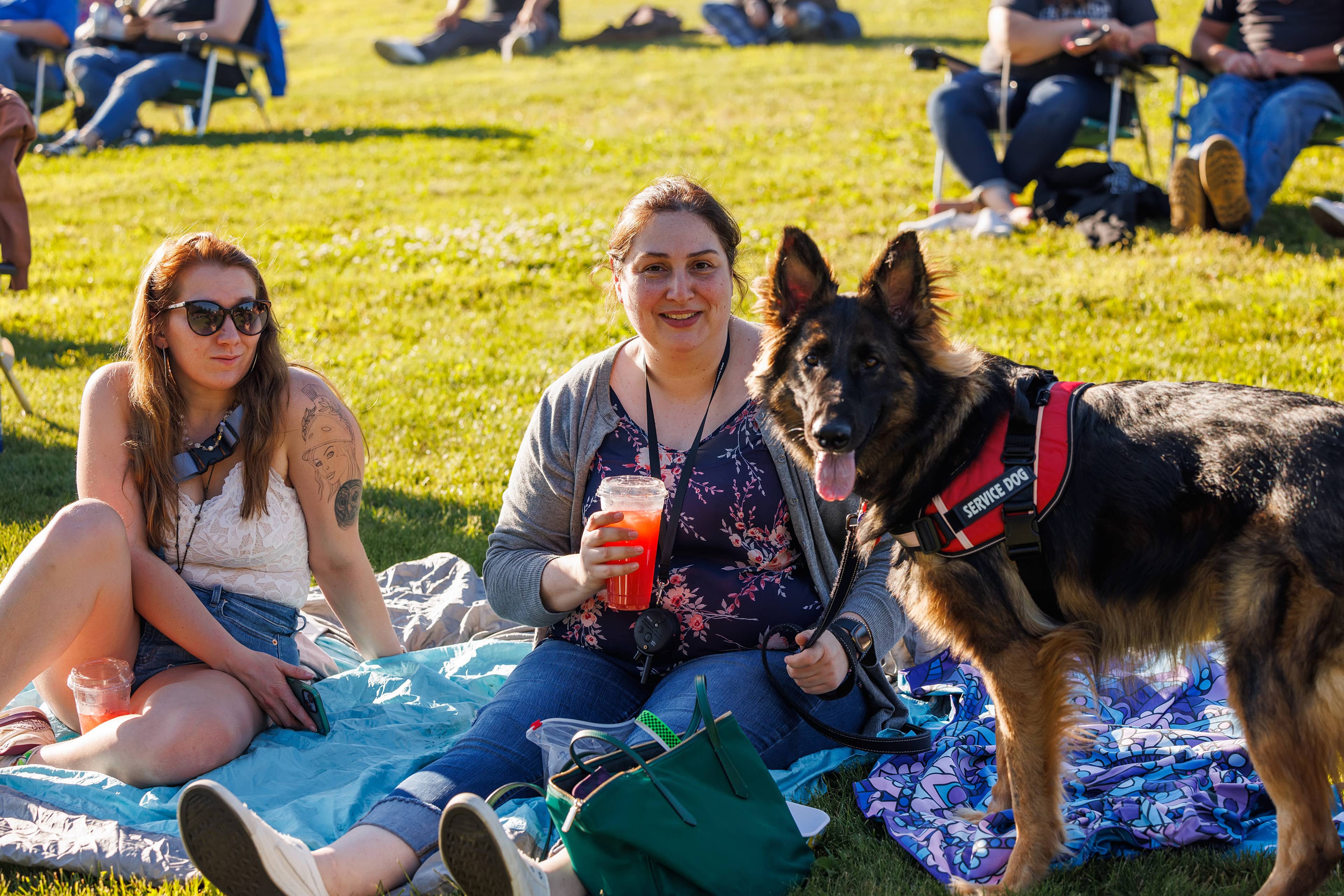 two fans and their service dog on the lawn 