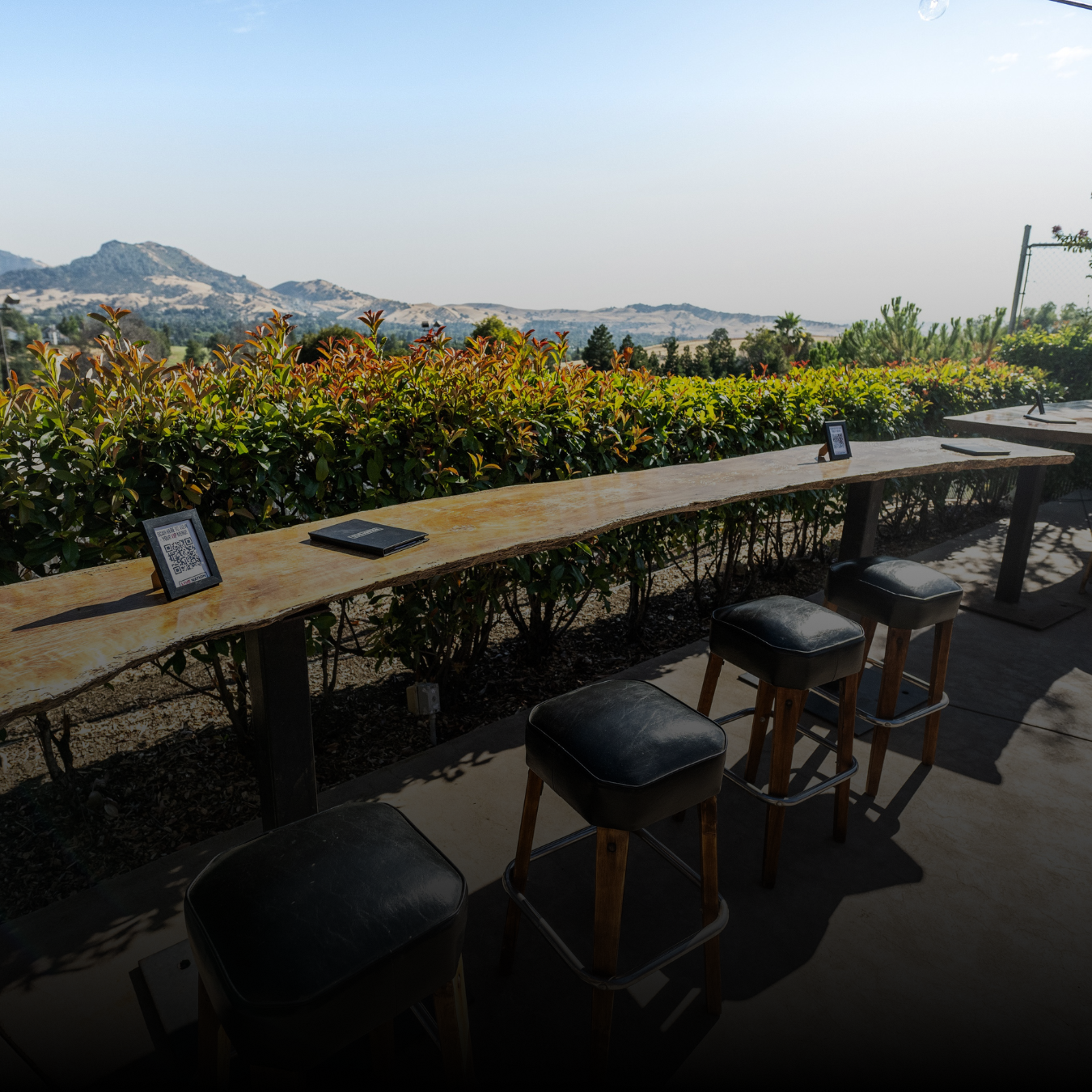View from VIP Club. A bench that overlooks a view of the mountains with plants