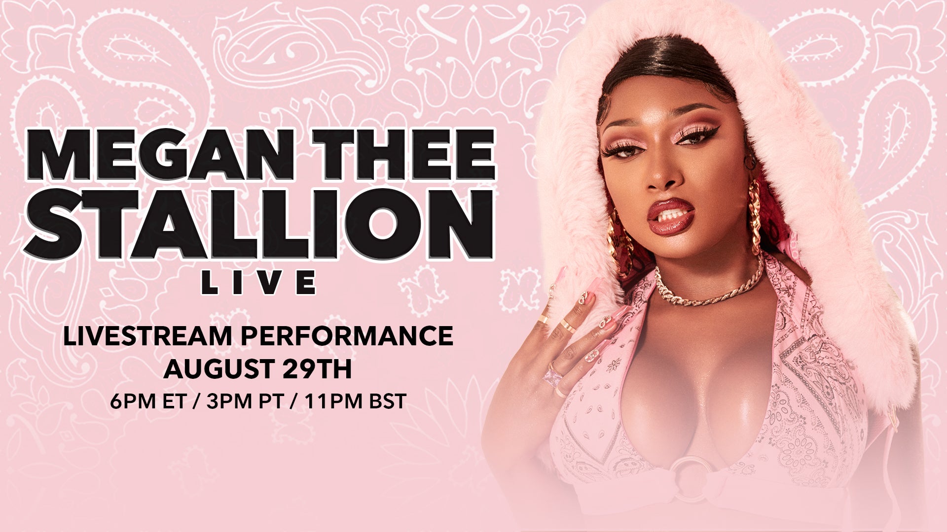 Megan Thee Stallion Delivers  Music Live NFL Concert